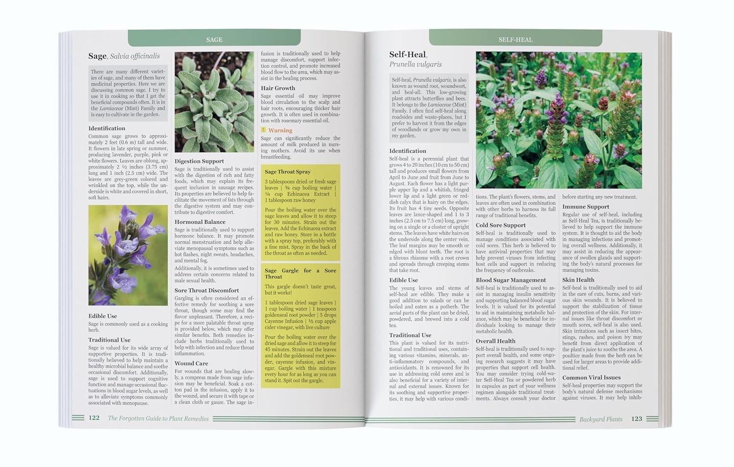 The Forgotten Guide to Plant Remedies