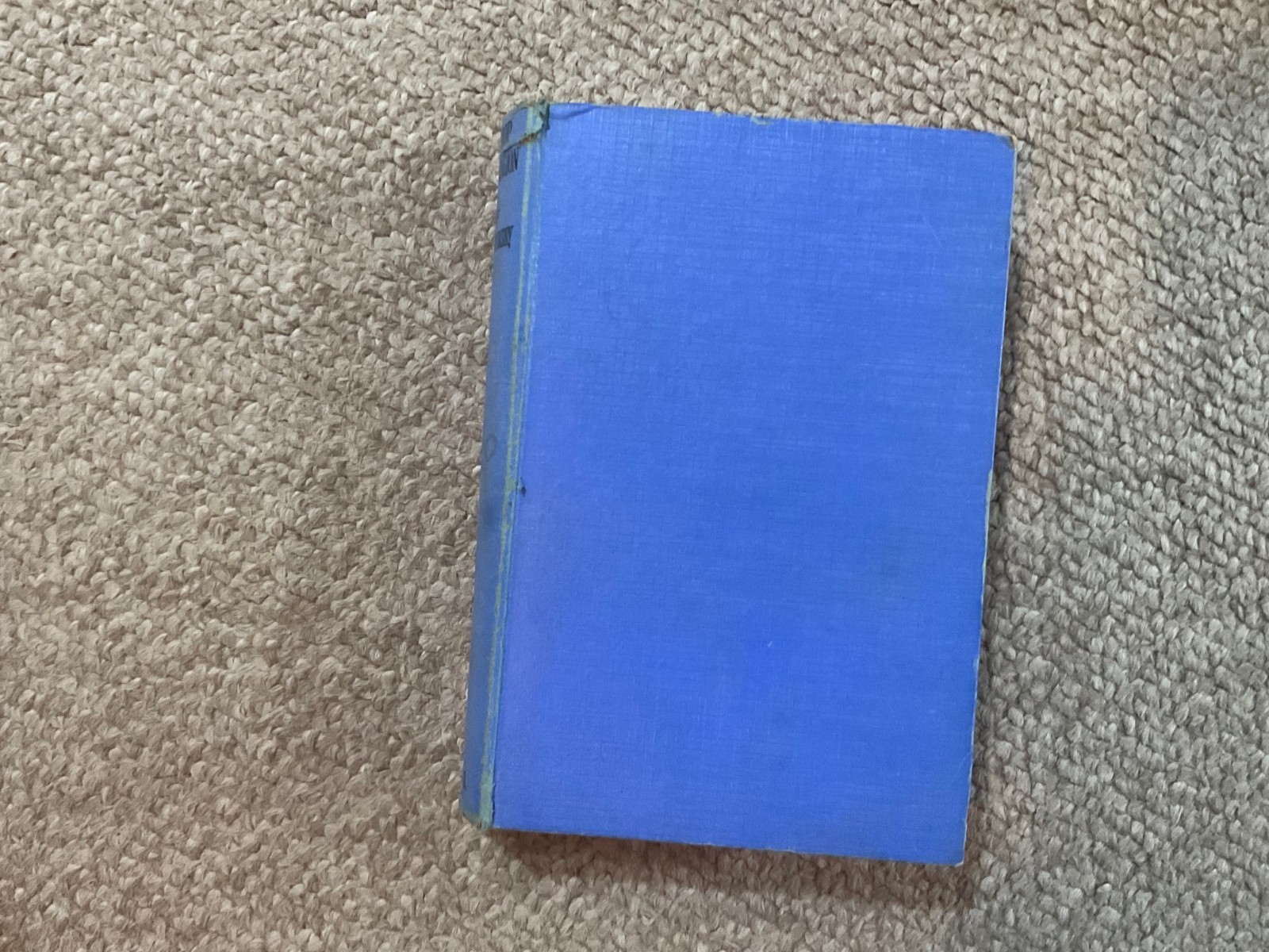vintage Bishop Hannington book . missionary hero . W G Berry M.A. . 184 pages