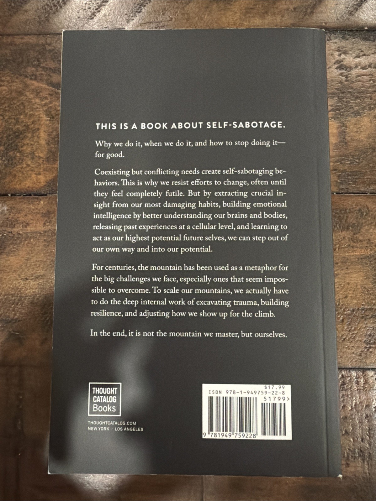 The Mountain is You By Brianna Wiest USA Stock Premium Quality