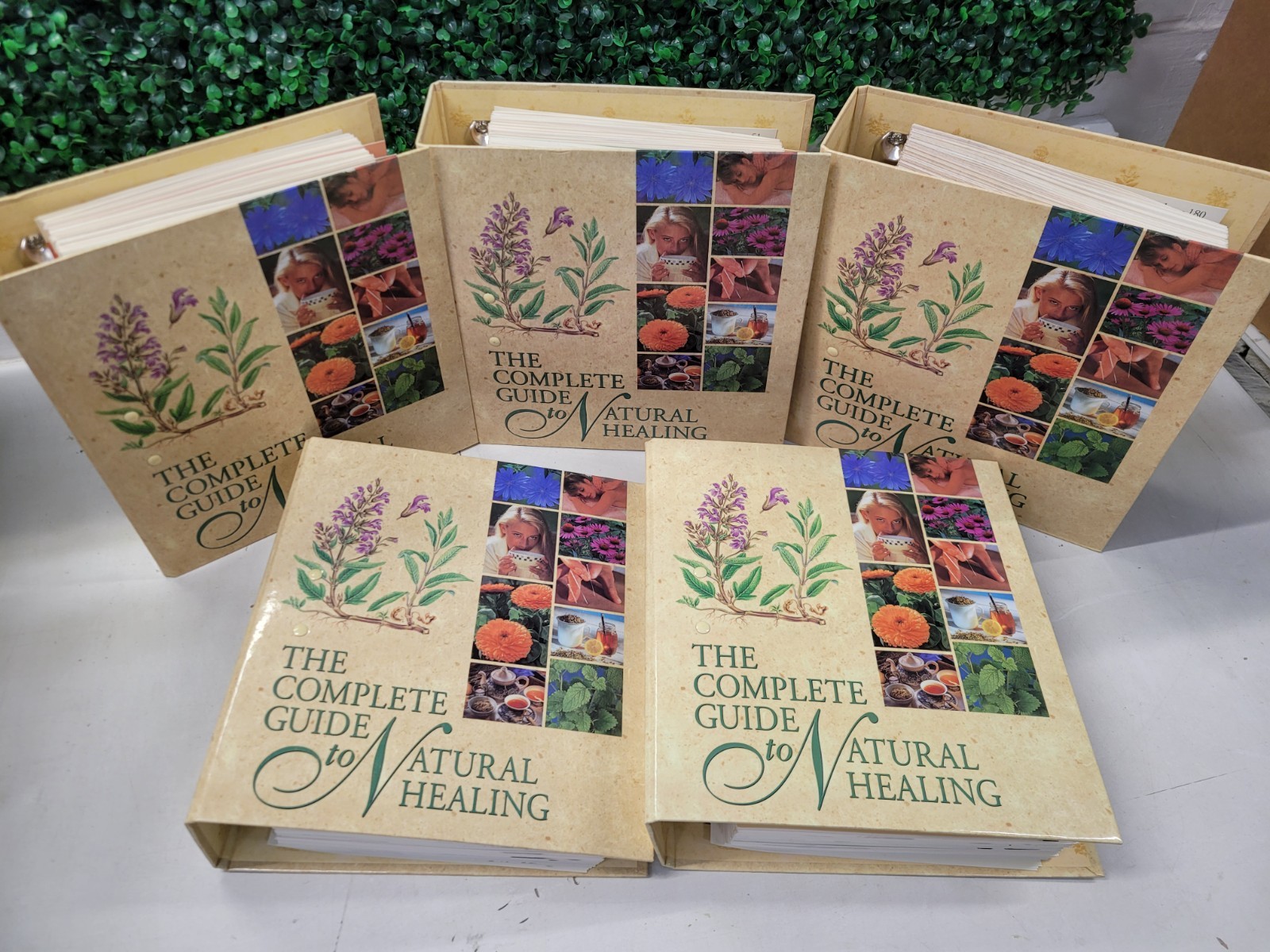The Complete Guide to Natural Healing Alternative Medicine All 5 Books