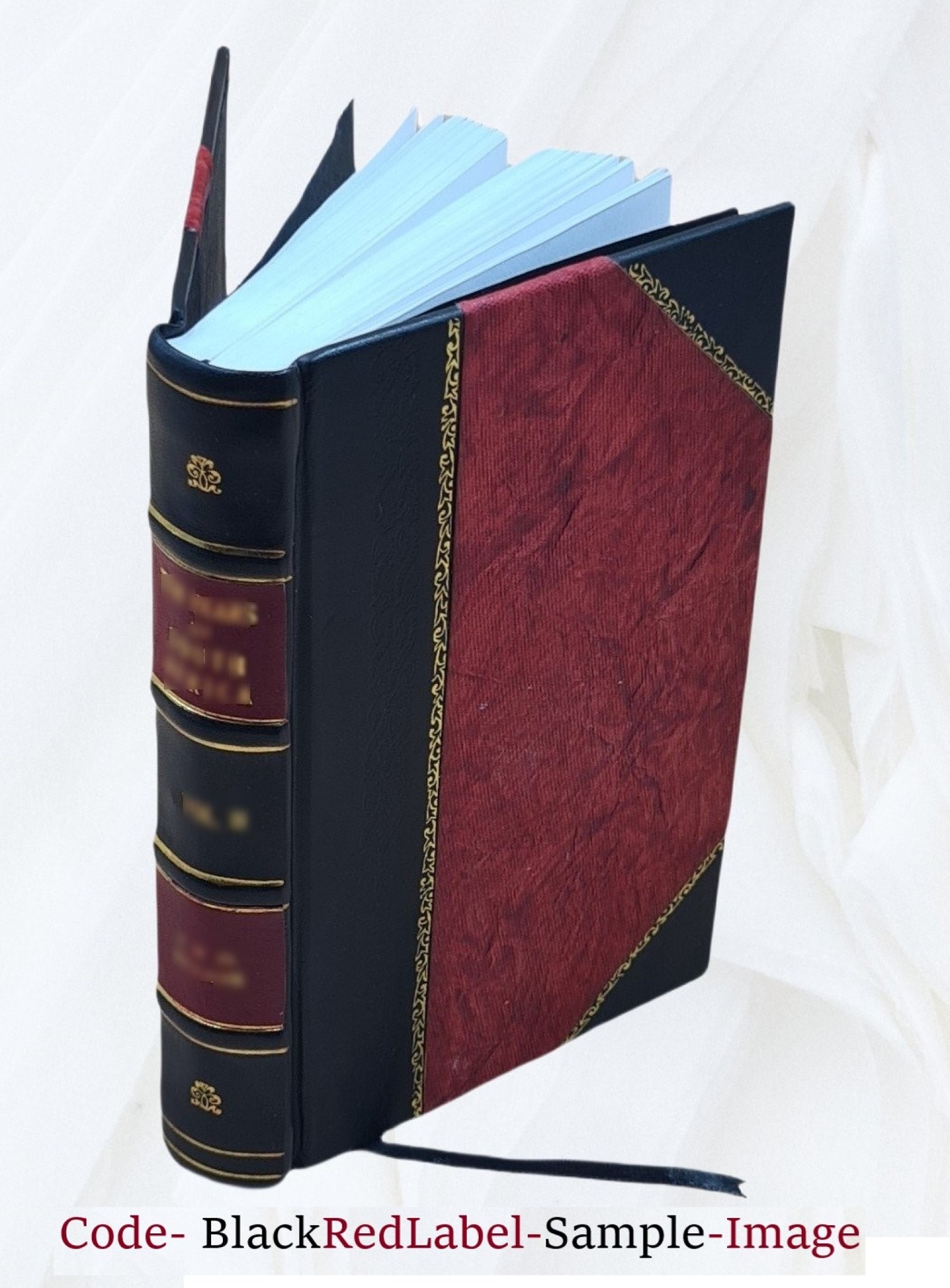 Regula Placitandi: A Collection Of Special Rules For Pleading Fr [Leather Bound]