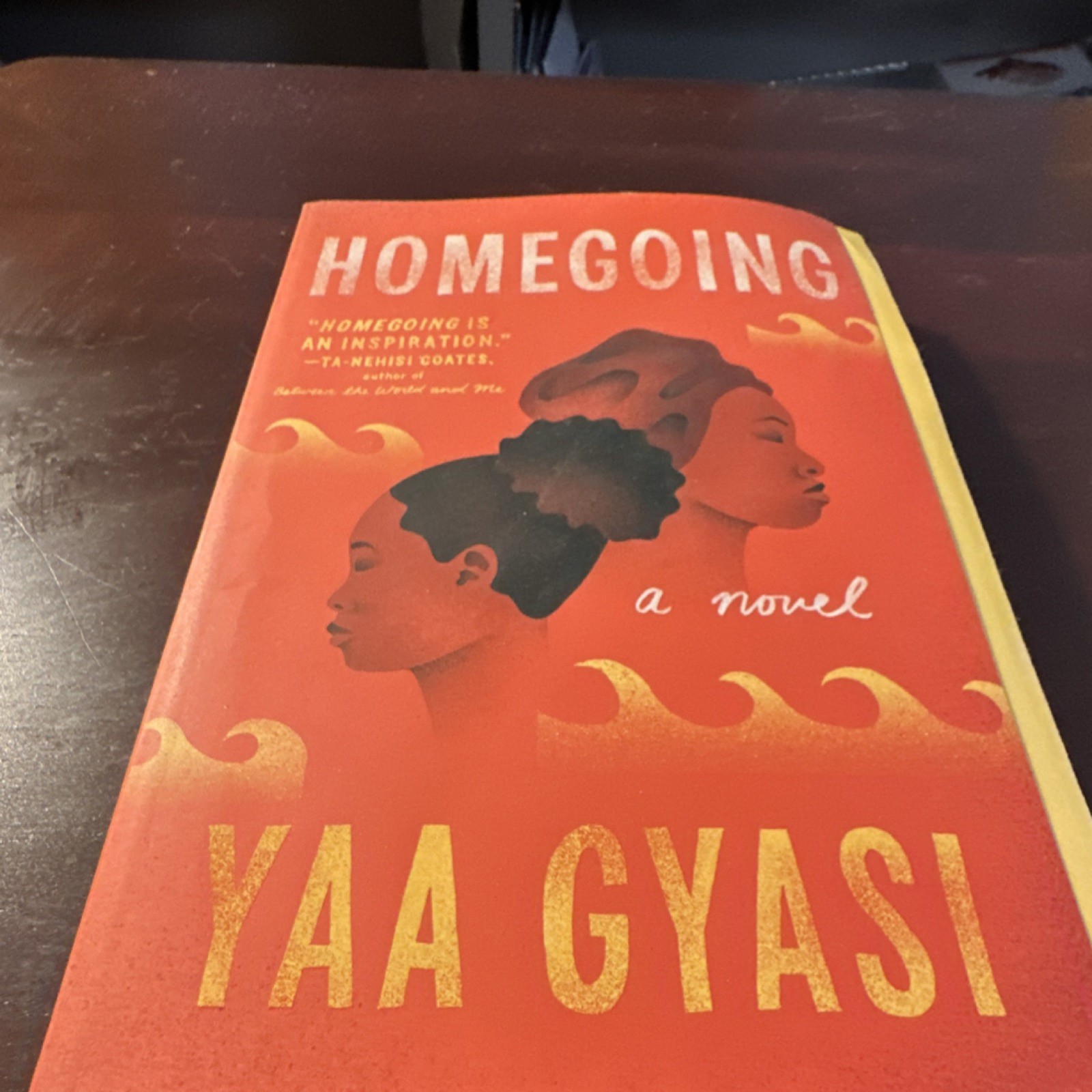 Vintage Books Homegoing Yaa Gyasi Trade Paperback 2016 African American Fiction