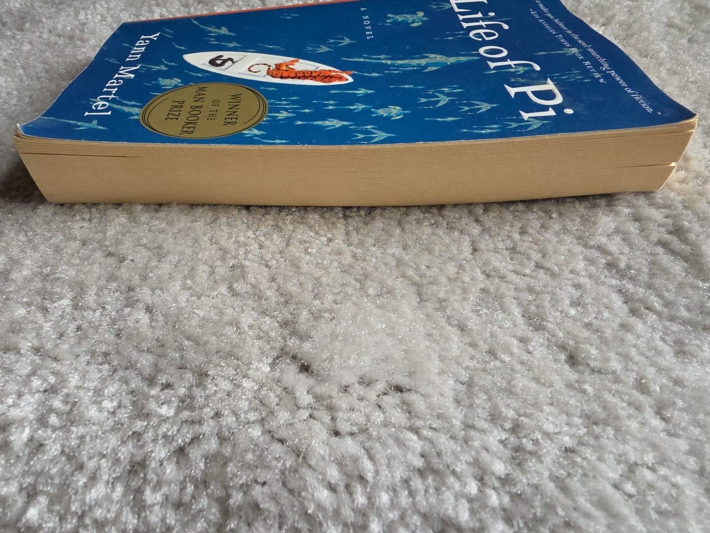 LIFE OF PI by Yann Martel. First Edition