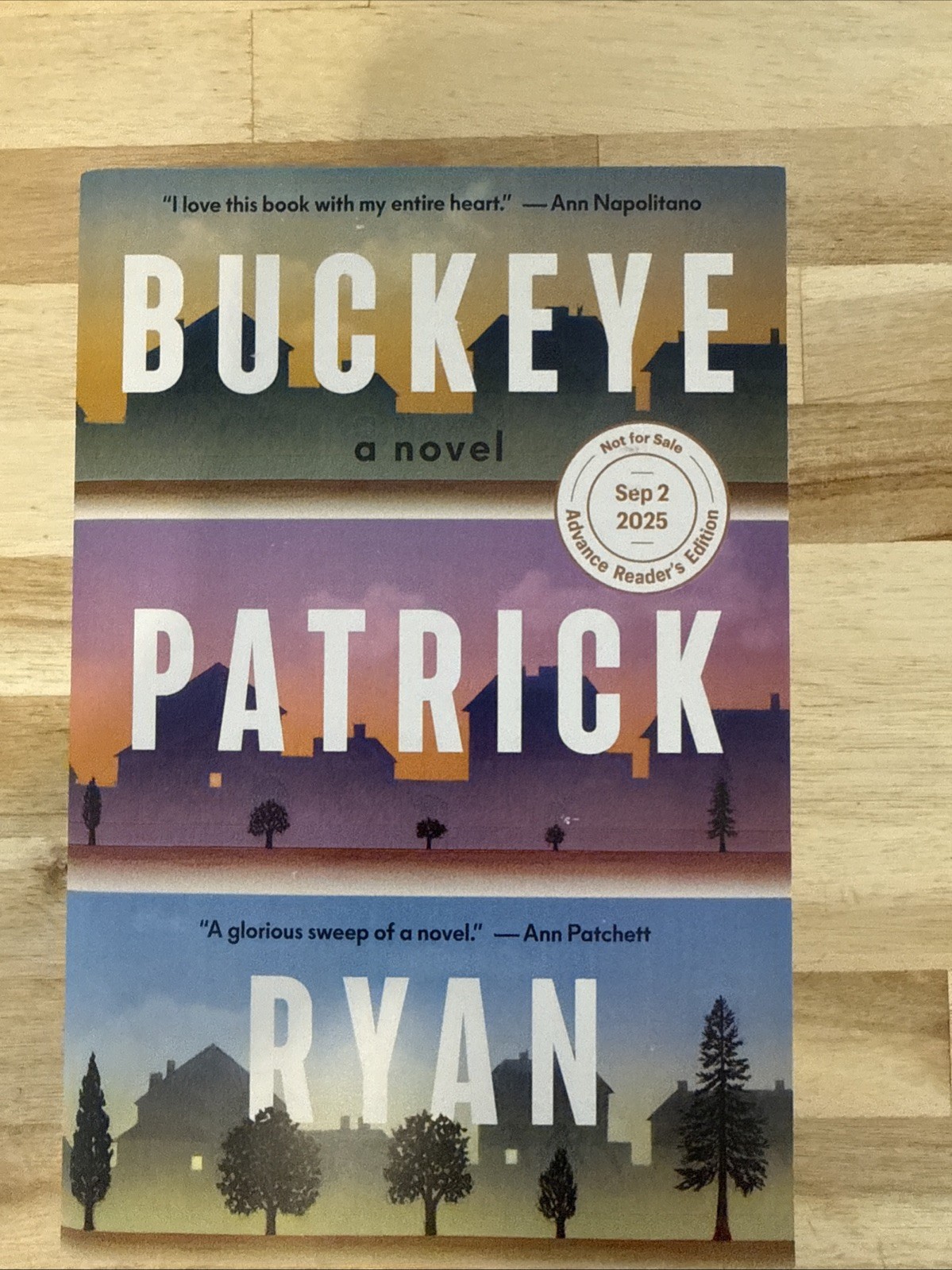 Buckeye: a Novel by Patrick Ryan Hardcover Dust Jacket English 2020s Fiction Arc