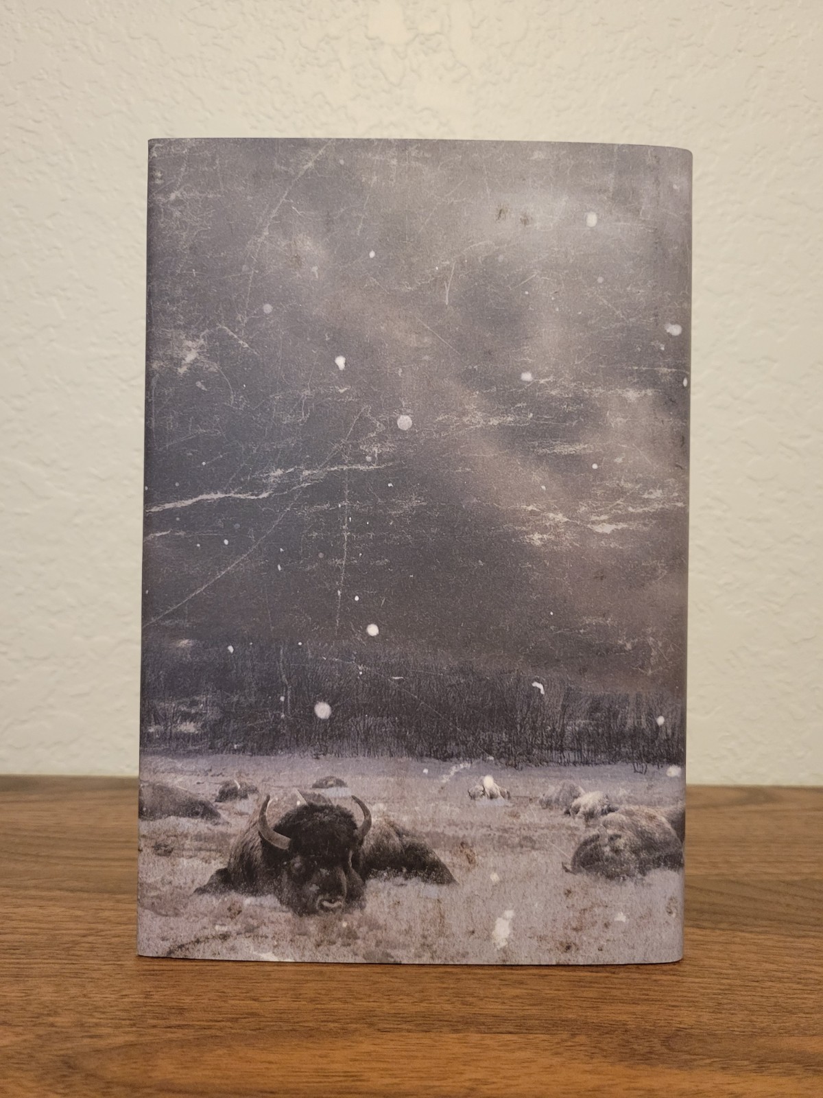 Buffalo Hunter Hunter by Stephen Graham Jones – SST Signed & Numbered w Slipcase