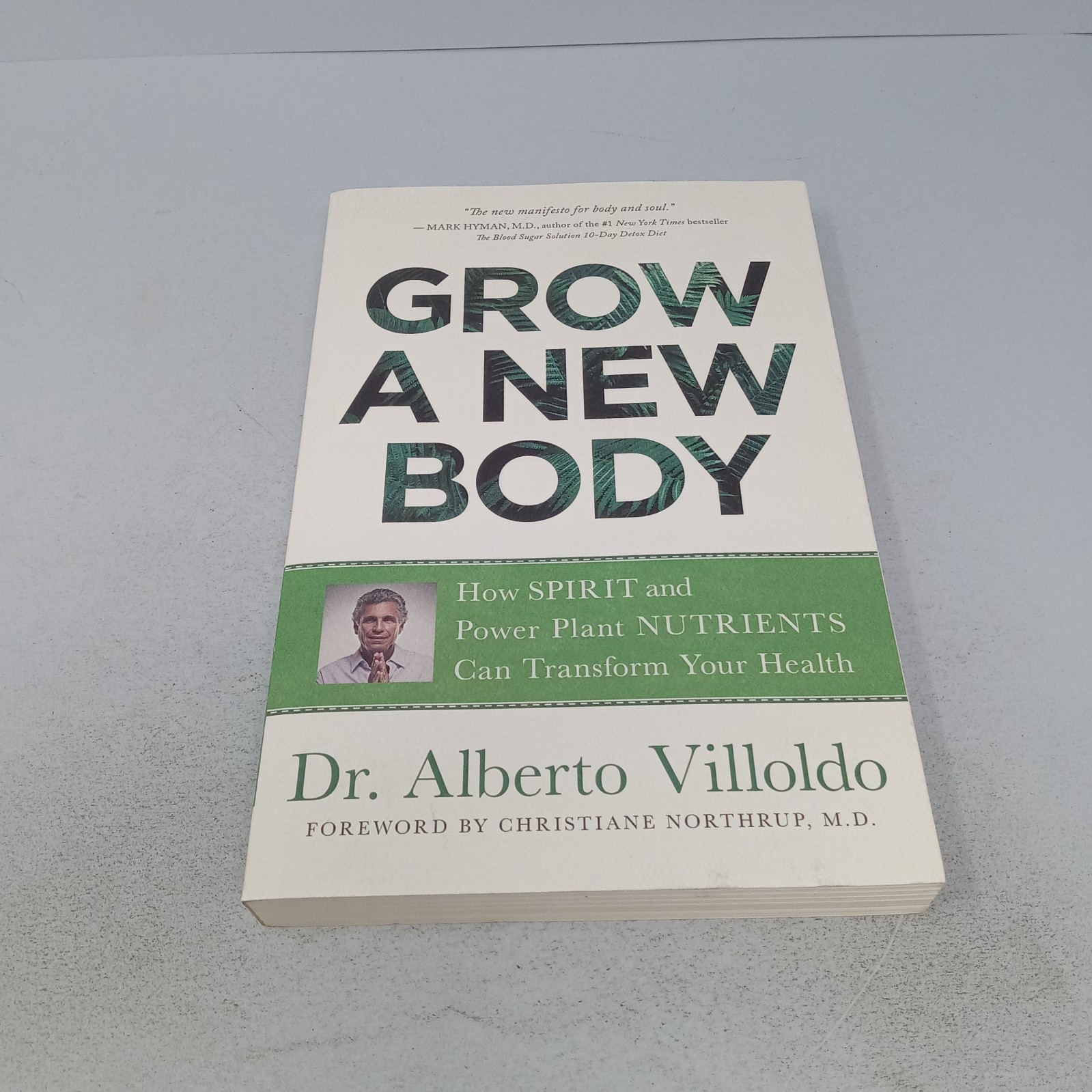 Grow a New Body: 2019 Hay House Paperback by Alberto Villoldo