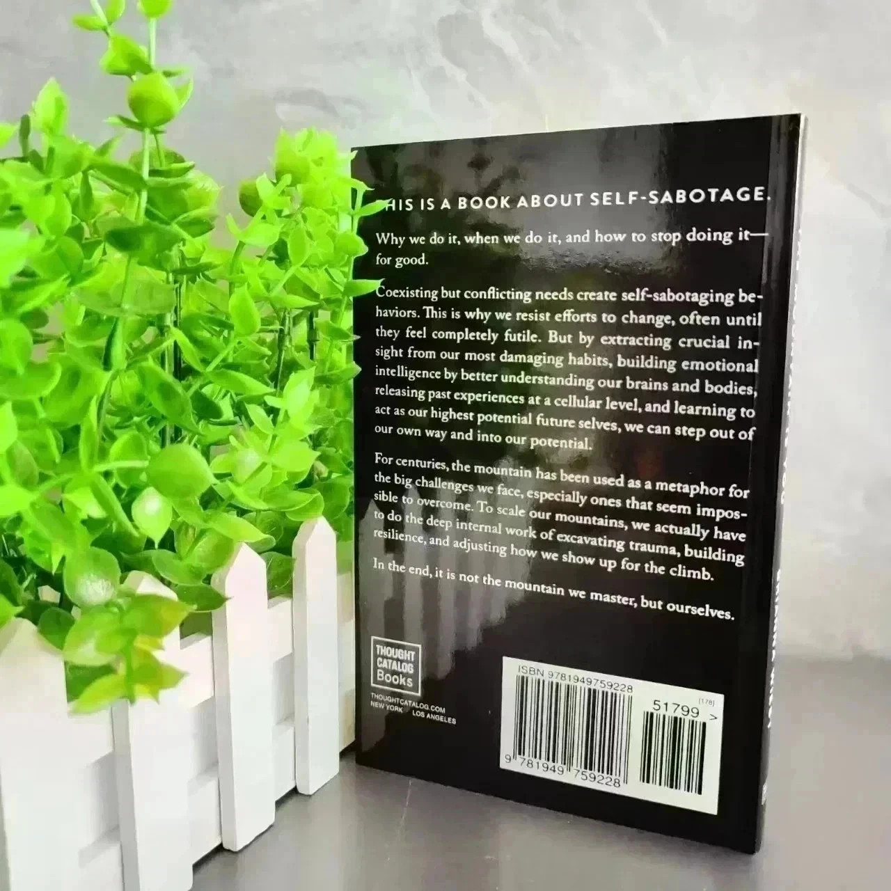 The Mountain is you by Brianna Wiest Paperback Book – Free Shipping US