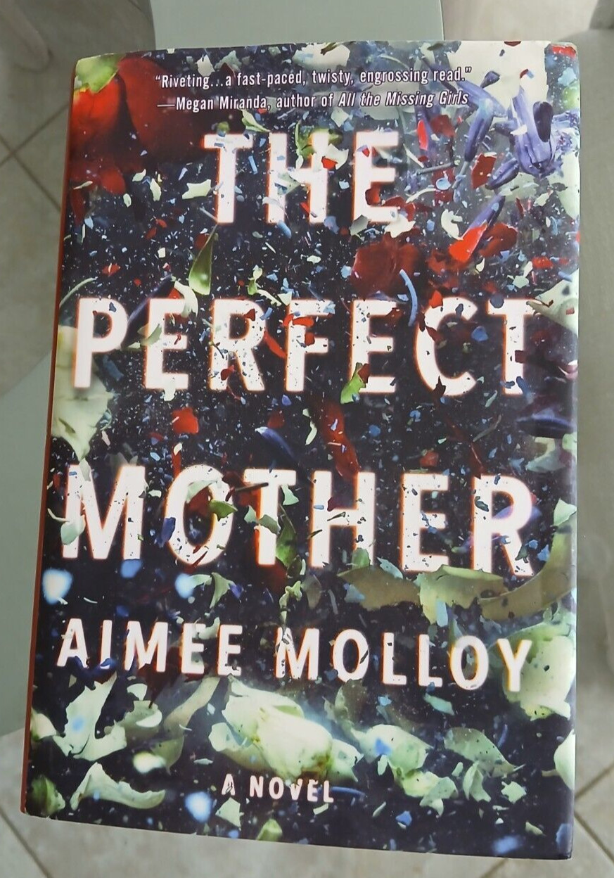 The Perfect Mother By Aimee Molloy Hardcover 317 Pages