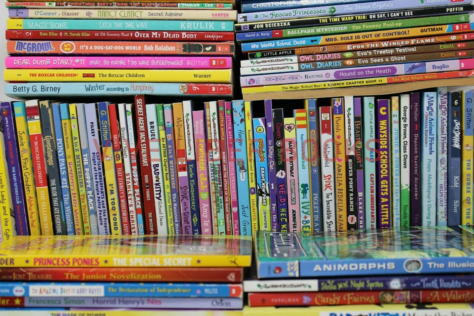 Bulk/Huge Lot of 50 of Children’s Kids Chapter Books – Random – Free Shipping!