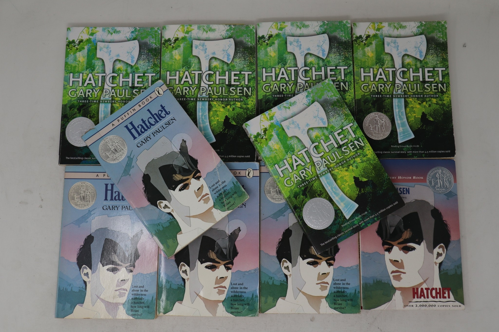 Guided Reading Lot of 10 Copies of Hatchet by Gary Paulsen – Paperback