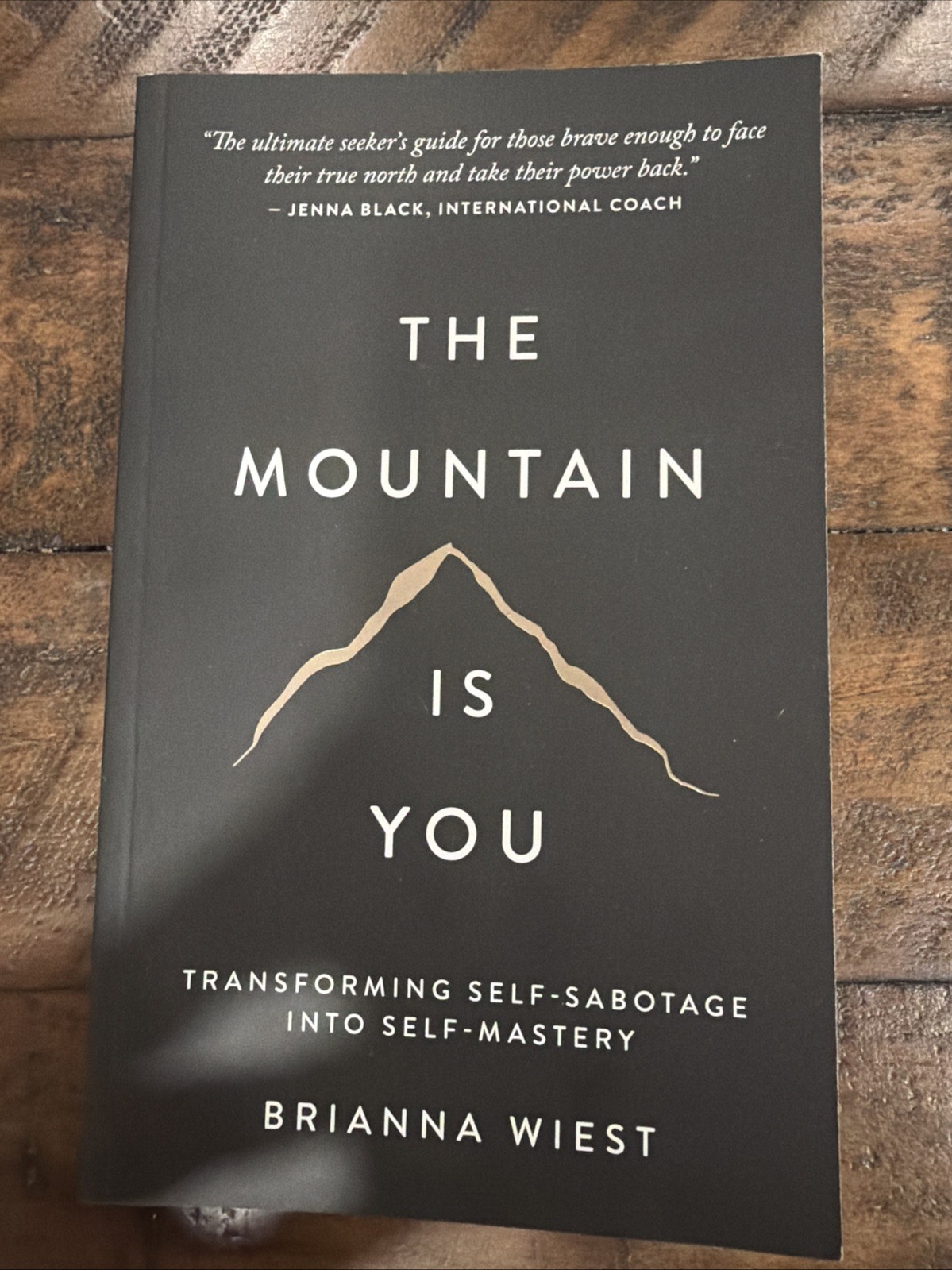 The Mountain is You By Brianna Wiest USA Stock Premium Quality