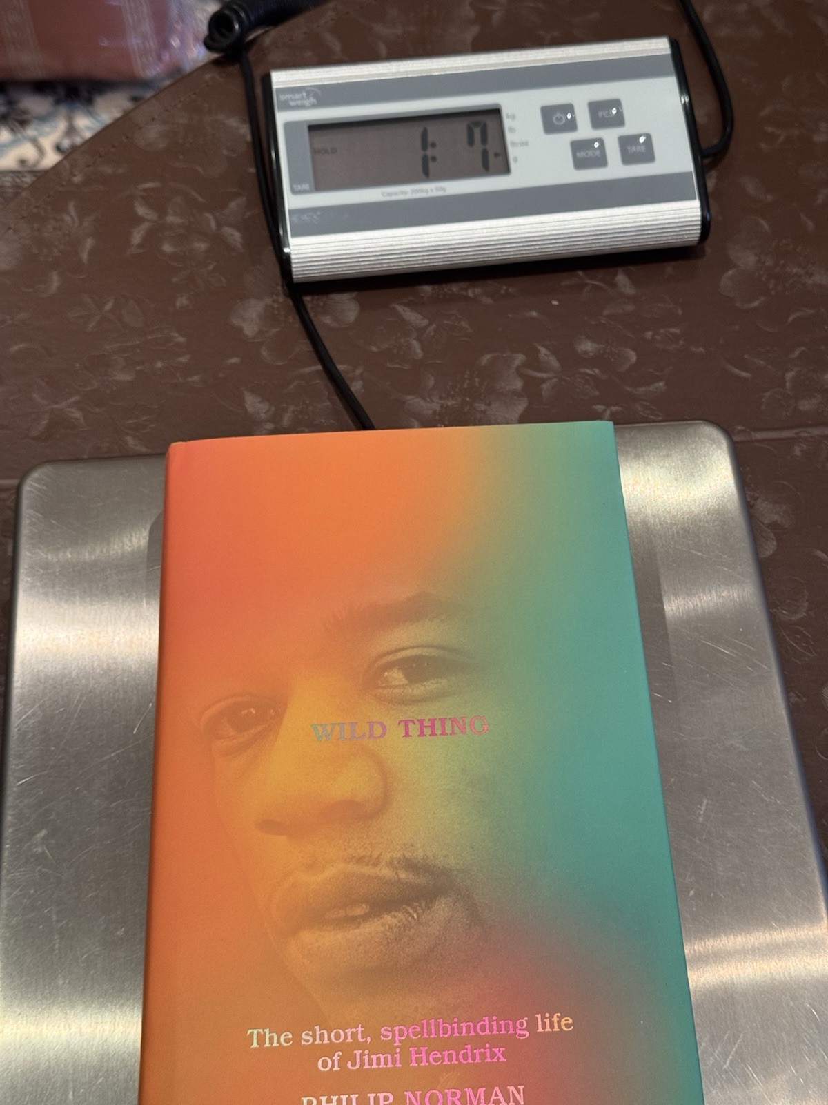 Wild Thing: The Short, Spellbinding Life of Jimi Hendrix by Philip Norman 1st ED