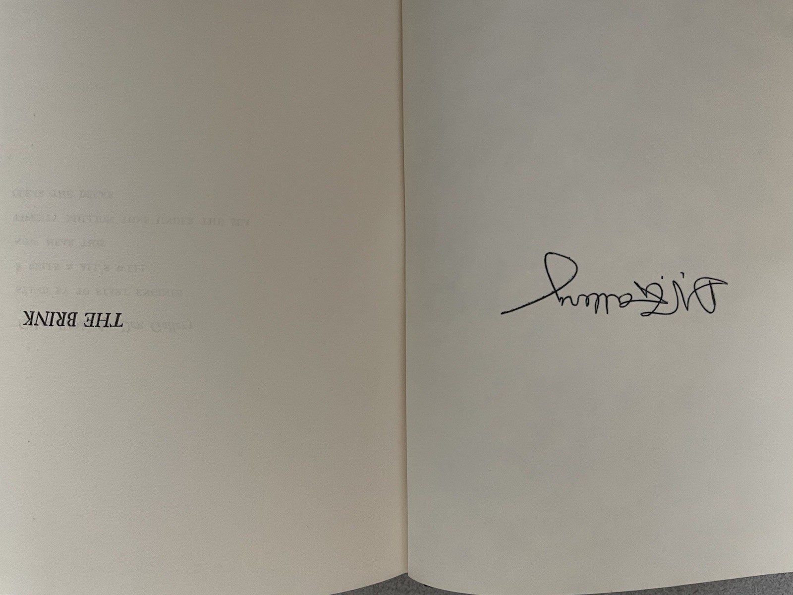 The Brink, FIRST EDITION. SIGNED.