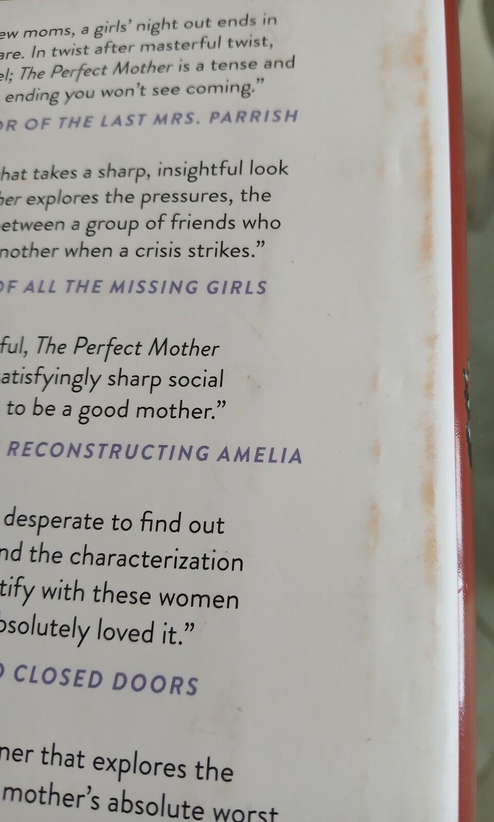 The Perfect Mother By Aimee Molloy Hardcover 317 Pages