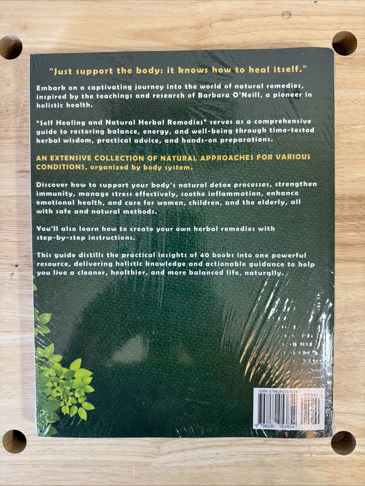 Self Healing and Natural Herbal Remedies Inspired by Barbara O’Neill