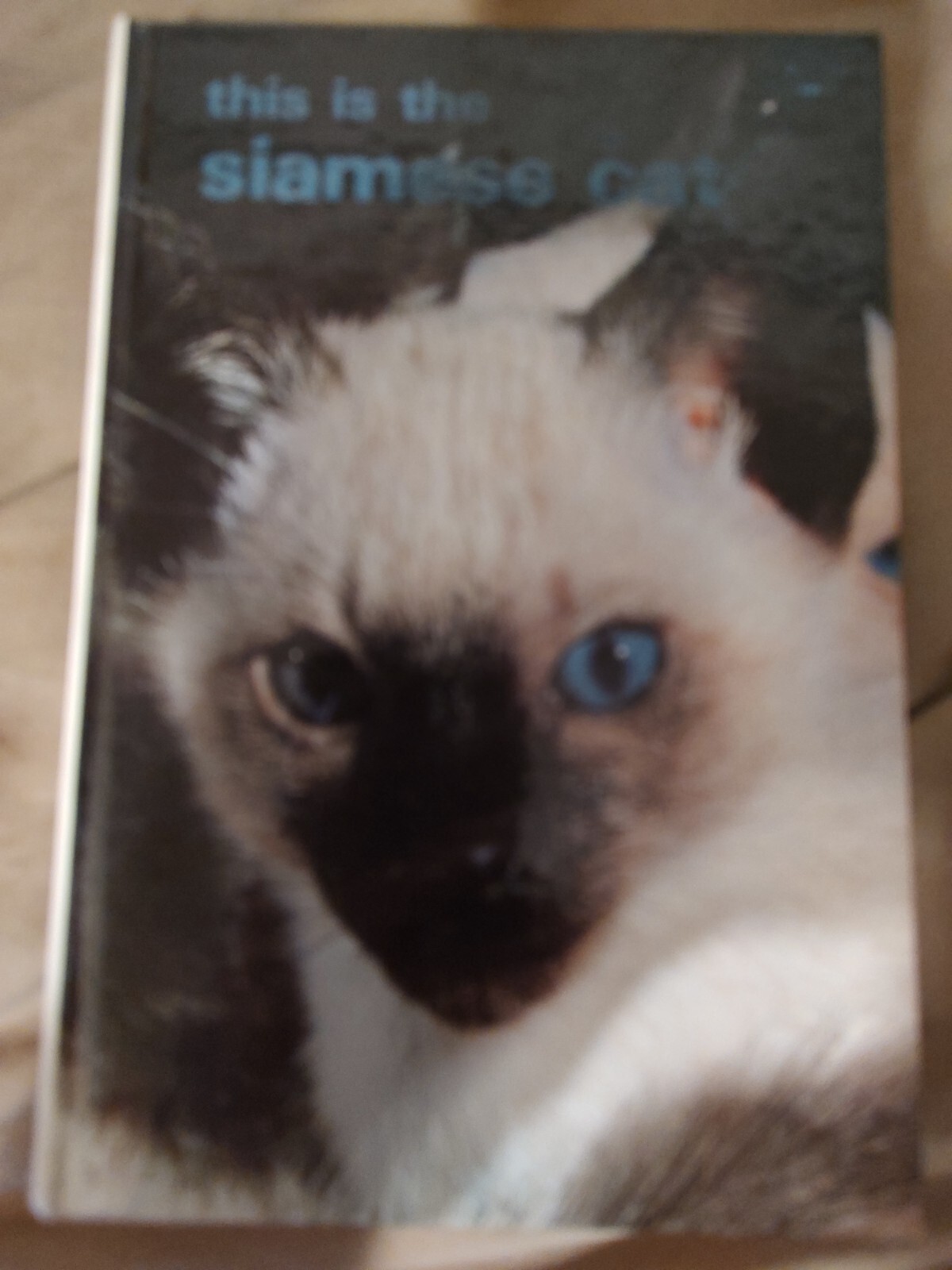 THIS IS THE SIAMESE CAT by MARGE NAPLES 256 pages 1978 Hardcover
