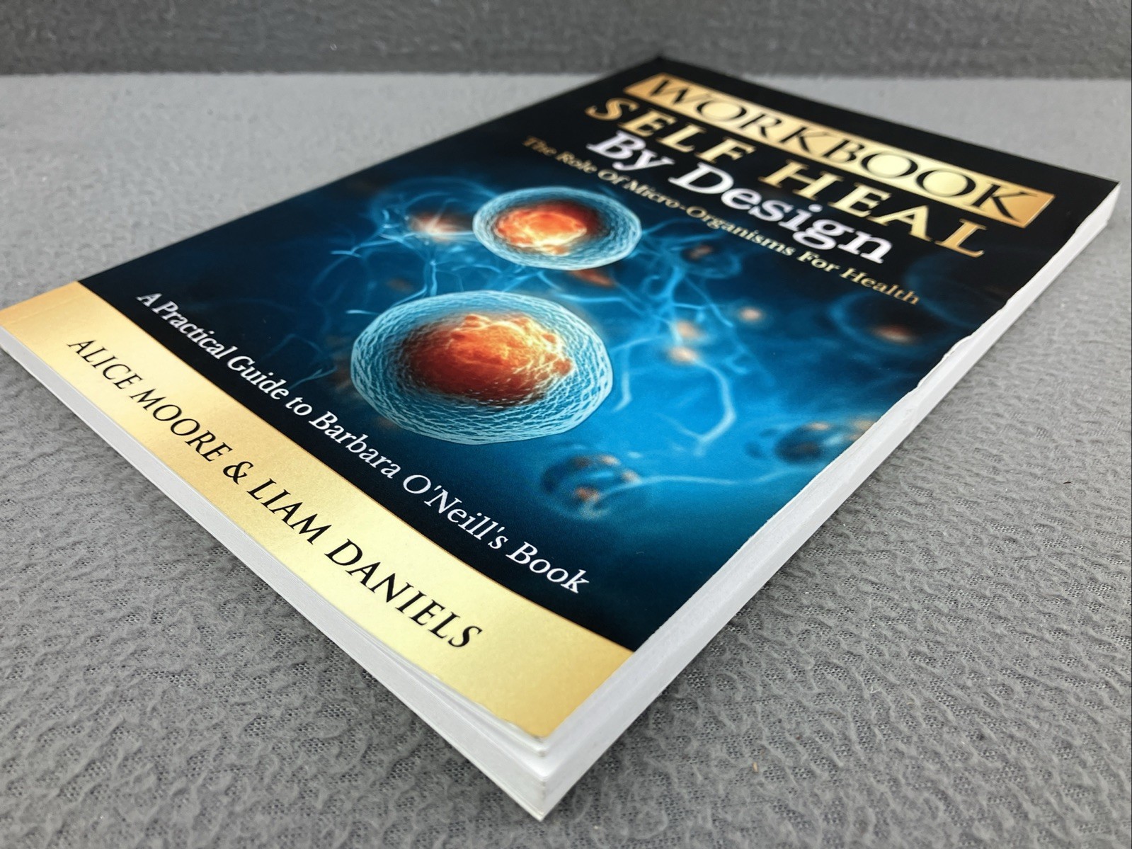 Workbook: Self-Heal by Design (Barbara ONeill) (Womens Health Paperback