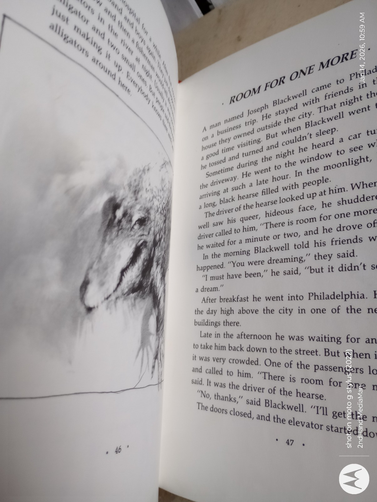 1981 1ST/9TH SCARY STORIES TO TELL IN THE DARK ALVIN SCHWARTZ HC/HARDCOVER BOOK