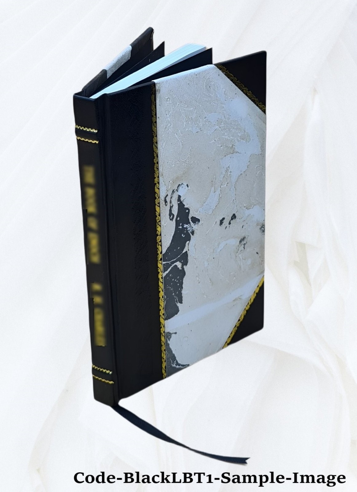 Lecture, Introductory To The Course On The Theory And Practice O [Leather Bound]