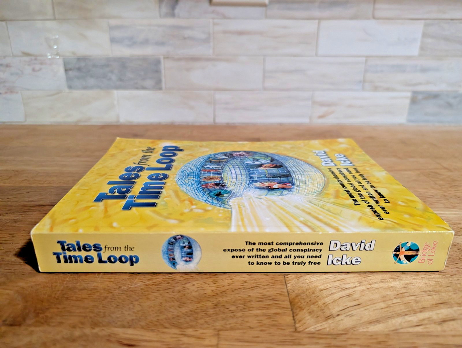 Tales from the Time Loop by David Icke Big Brother Global Conspiracy Book