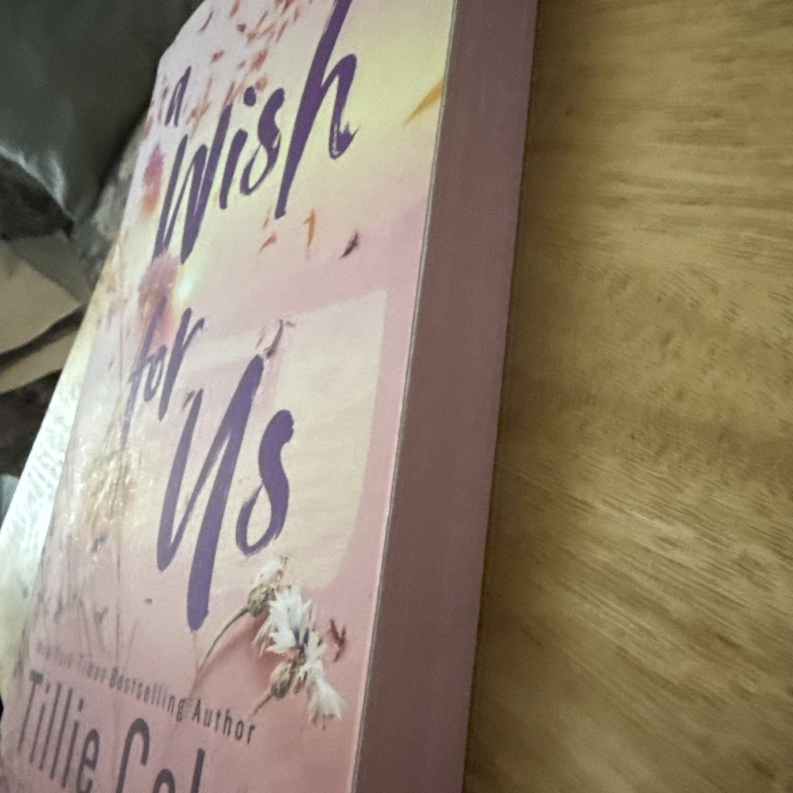 A Wish for Us by Tillie Cole Sprayed On Edges