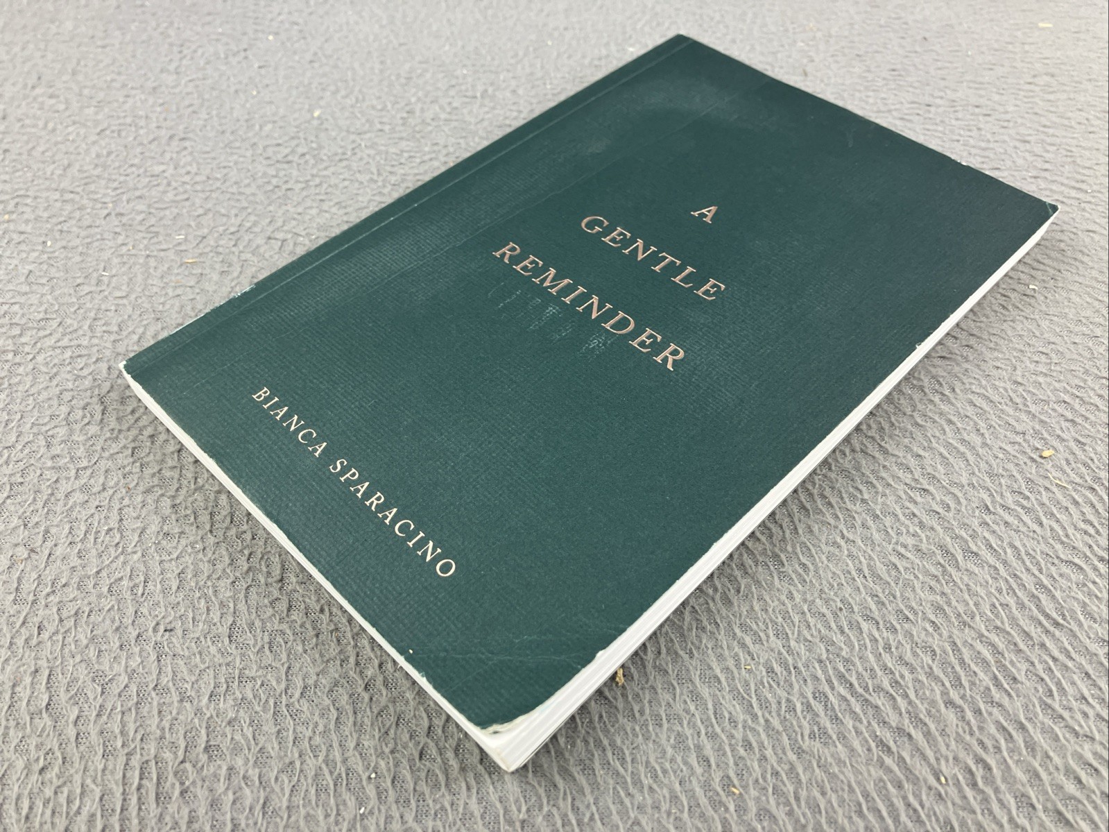 A Gentle Reminder 2020 Thought Catalog Books by Bianca Sparacino GOOD