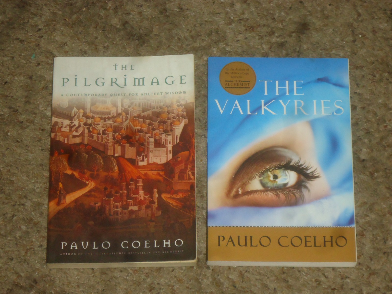 Lot 10 Paulo Coelho Novels Alchemist Brida Valkyries Zahir Witch Portobello Adul