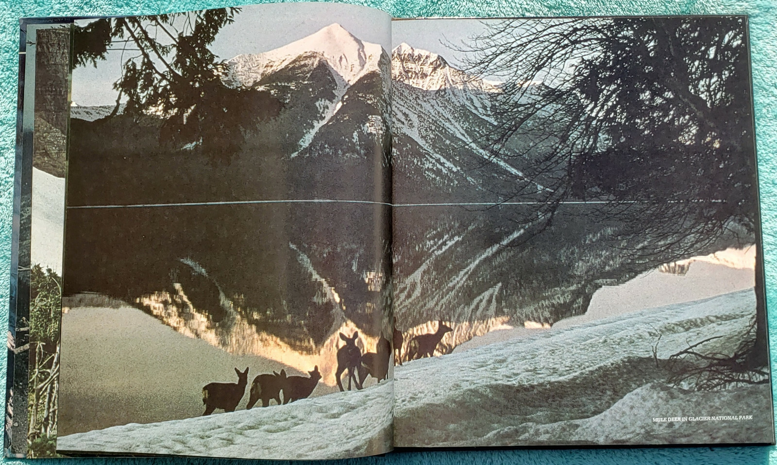 The Great Divide – The American Wilderness 1973 Time-Life Hardcover 184 Pages