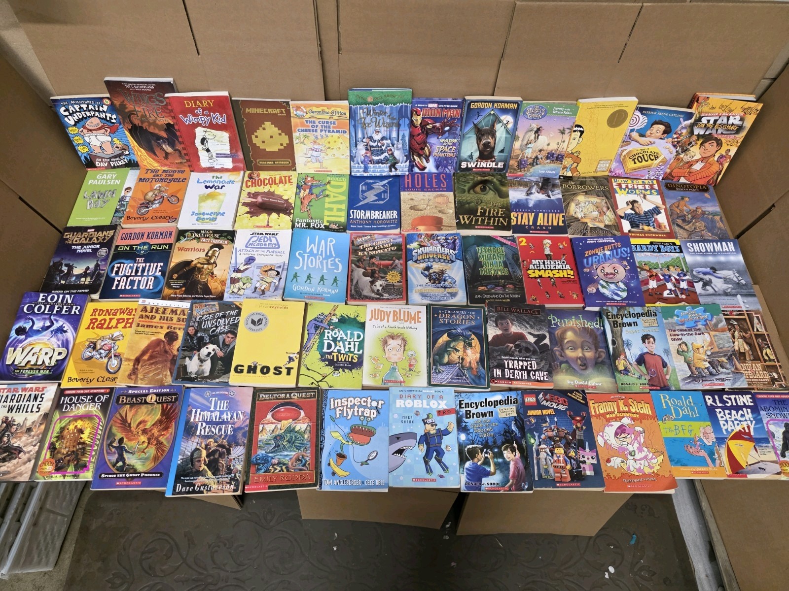 Lot of 20 Chapter Books for BOYS Youth Early Reader Young Adults Children RANDOM