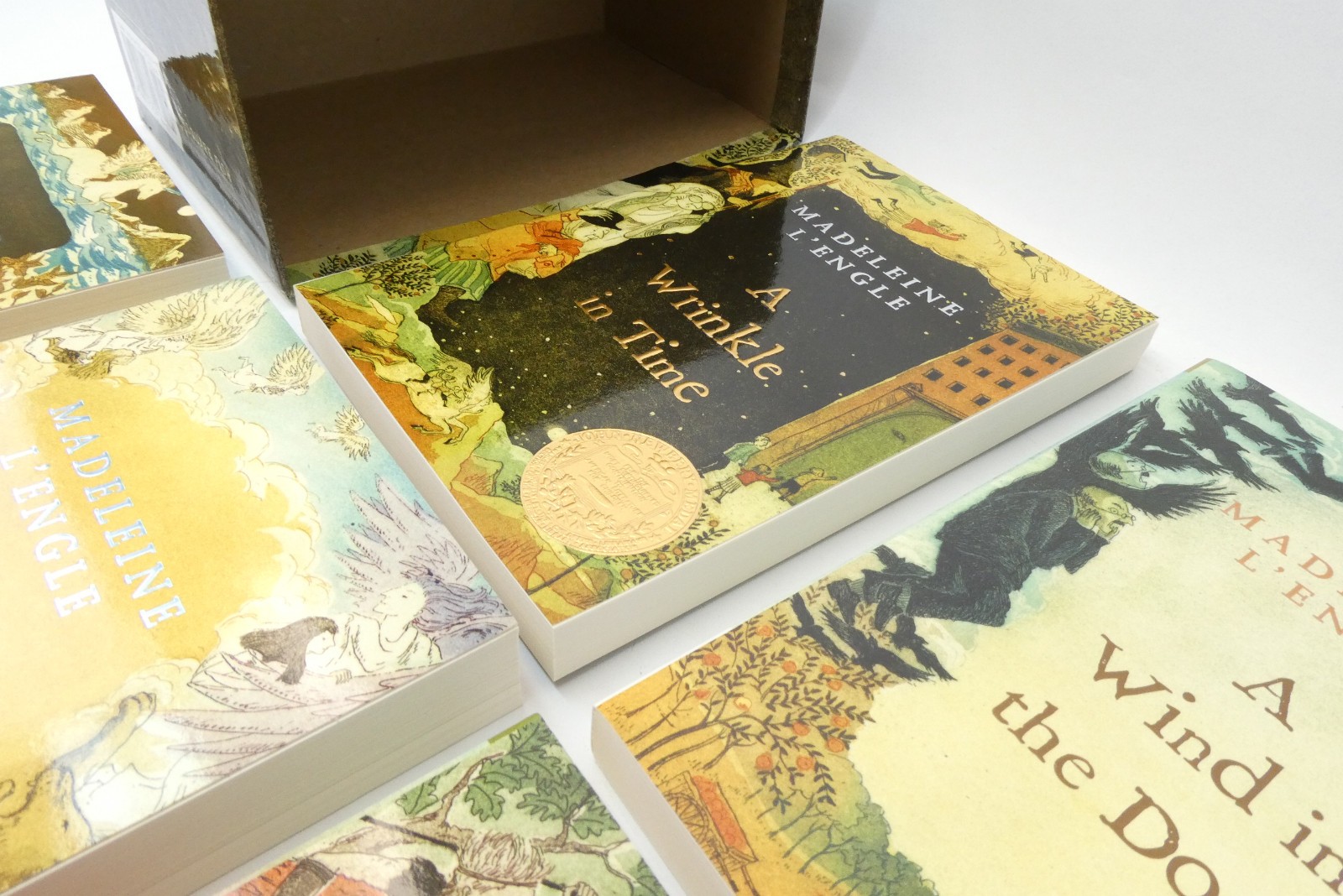 Madeleine L’Engle Time Quintet Box Set 5 Books Wrinkle in Time Square Fish