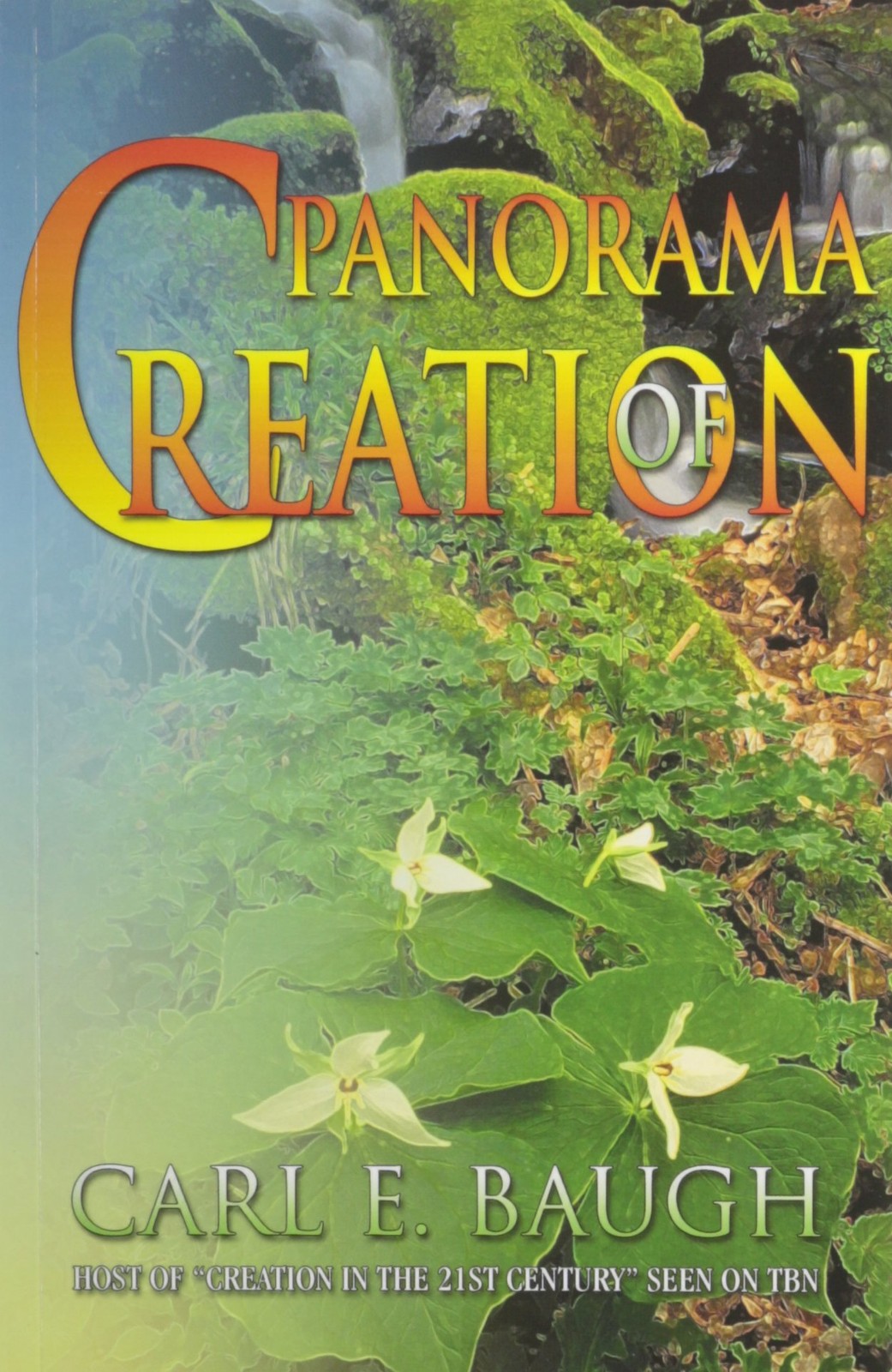 Panorama of Creation