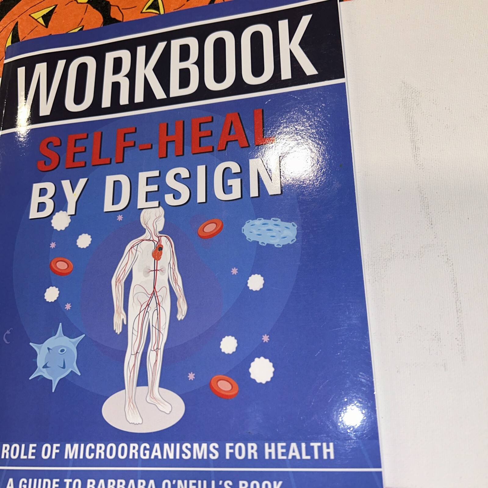 Workbook: Self-Heal by Design: an Interactive Guide to Barbara O’Neill’S Book