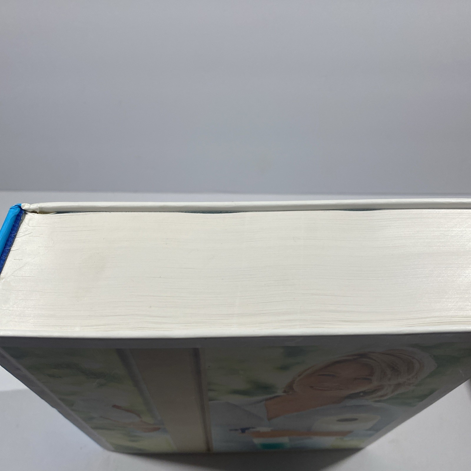 Martha Stewart Homekeeping Handbook First Edition HB book 2006 home house decor