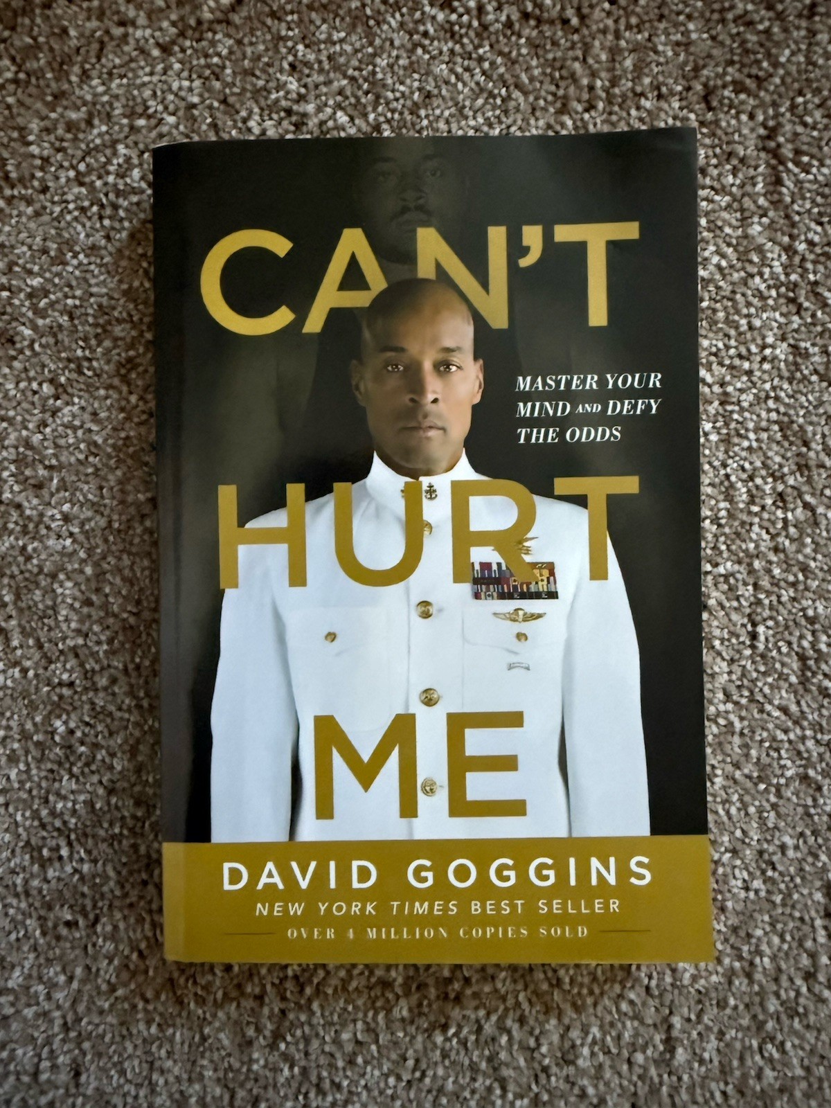 Can’t Hurt Me : Master Your Mind and Defy the Odds by David Goggins (2018)