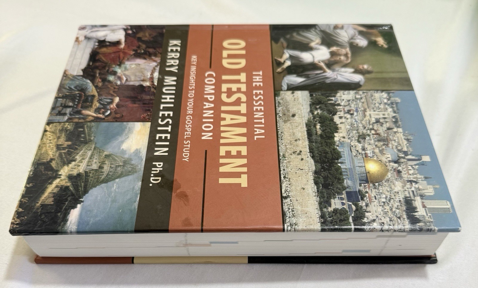 Essential Old Testament Companion by Kerry Muhlestein Hardbound 2013 Trade