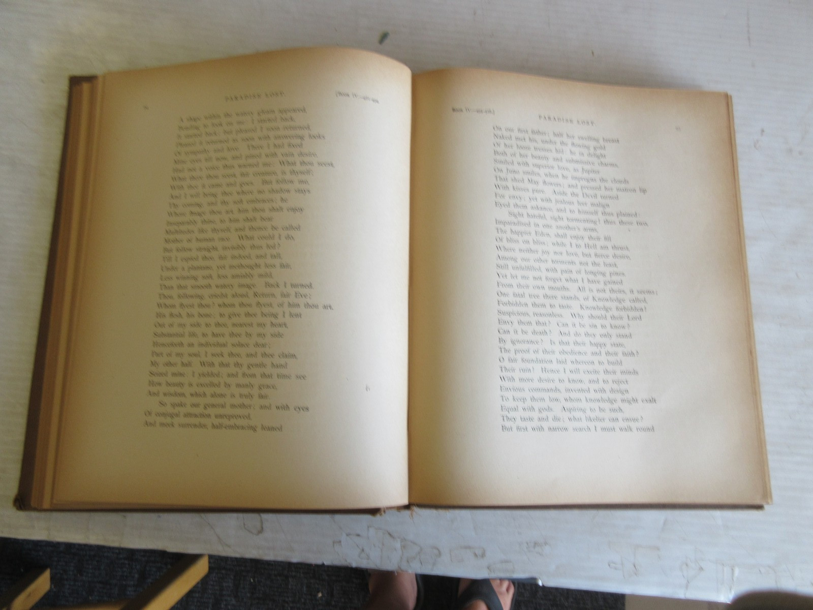 MILTON’S PARADISE LOST EDITED BY HENRY C. WALSH, AM 1900