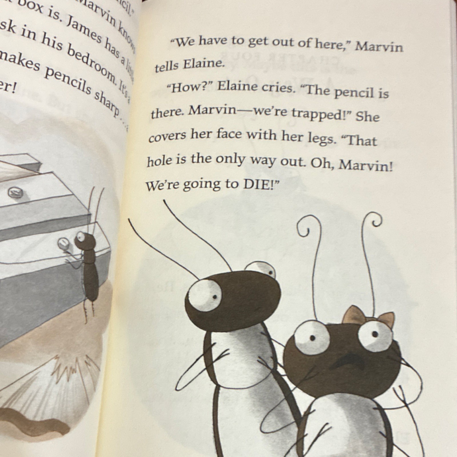 Square Fish Miniature World of Marvin & James Elise Broach PB Ages 4-12
