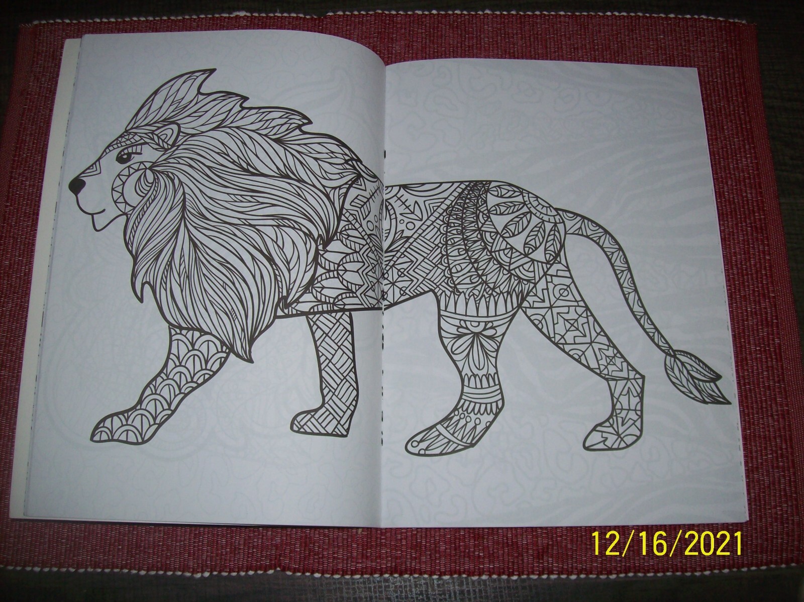Unbranded Animals Come Alive Adult Coloring Book – New