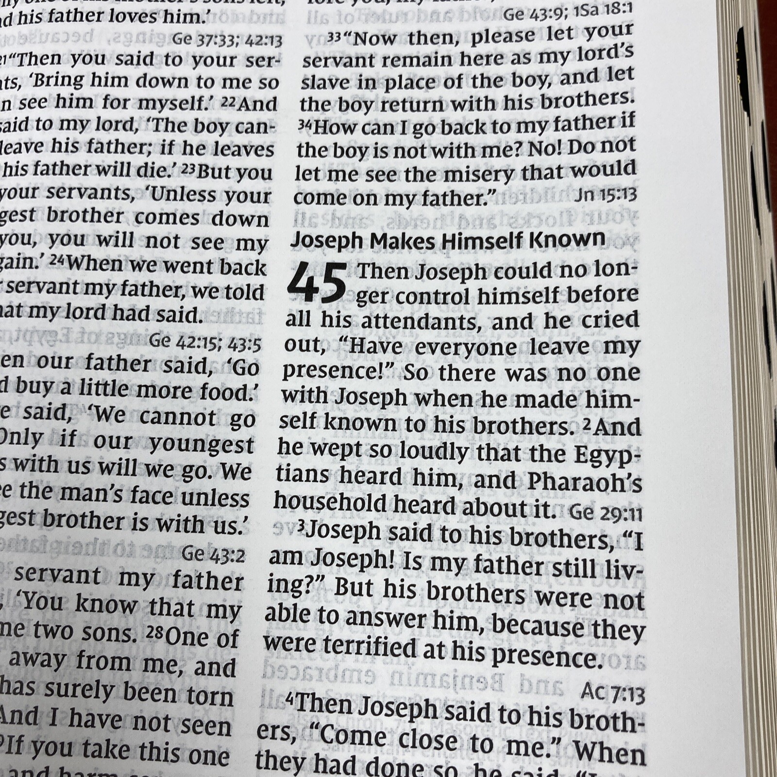 NIV Large print Reference Bible – 12 point font – Red letter – Thumb-indexed