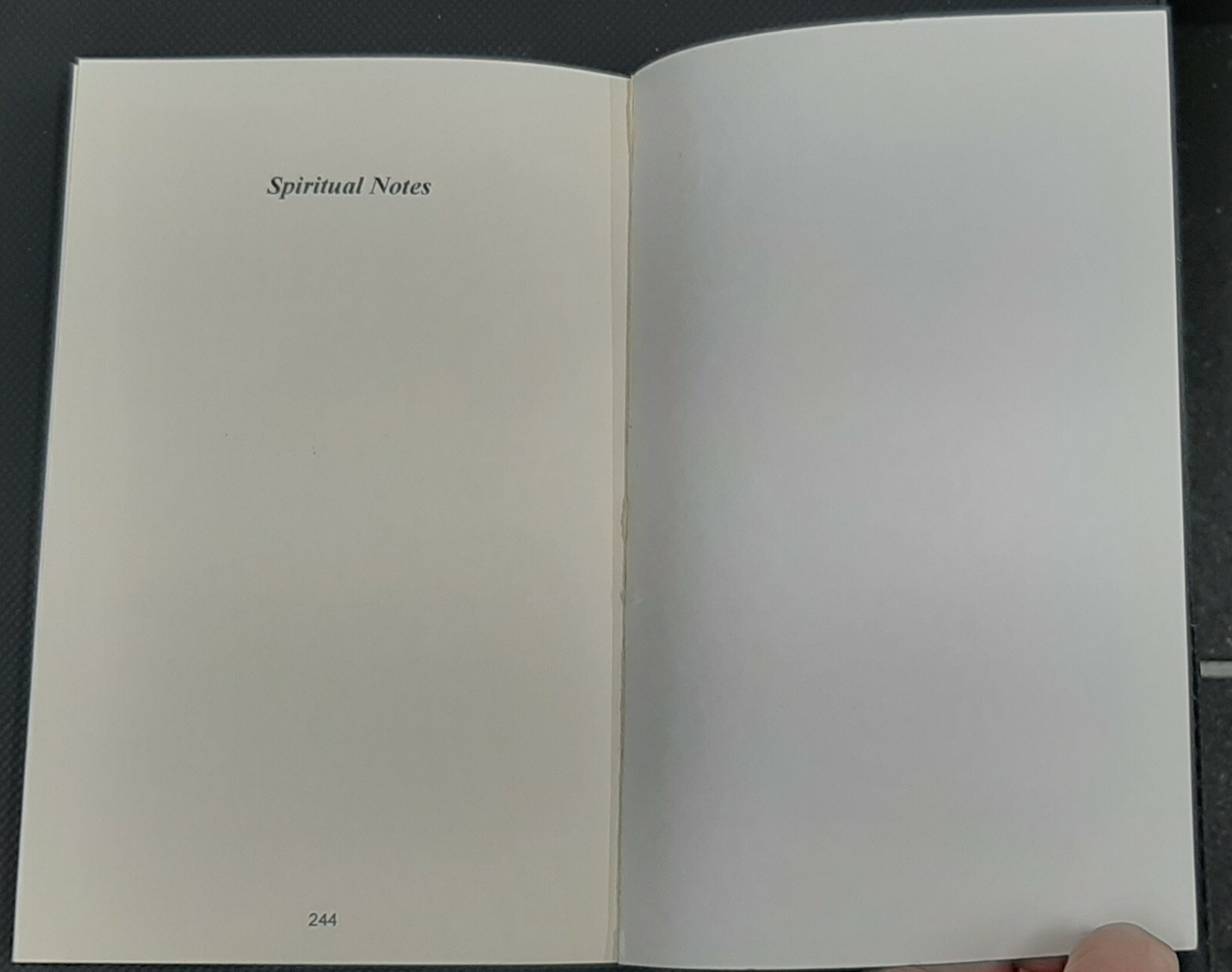 My Pilgrimage With God~Wulf Berg~244 pages~2001~Trade Paperback