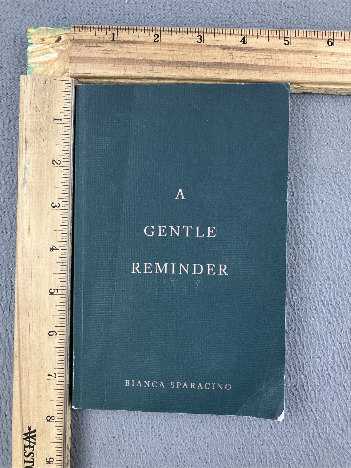 A Gentle Reminder 2020 Thought Catalog Books by Bianca Sparacino GOOD
