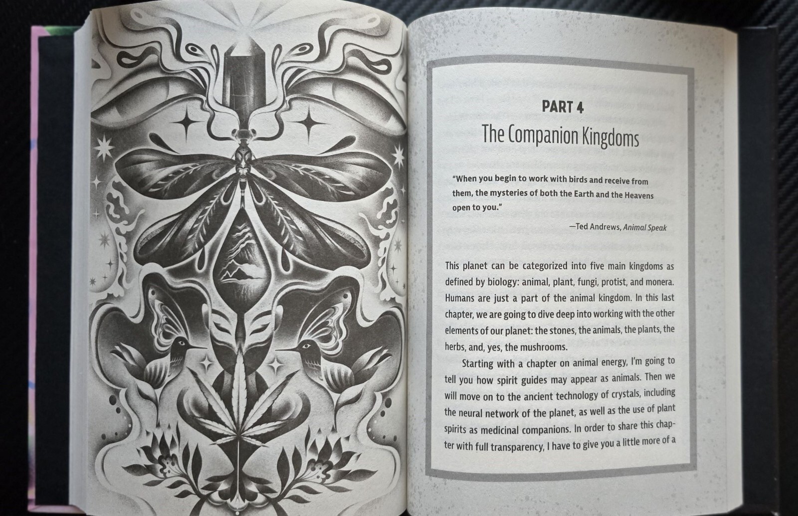 Metaphysical AF Harness Dreams Ethereal Maggie Wilson Hardcover 256 Pages New