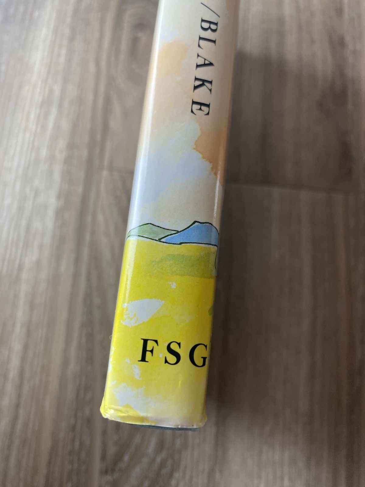 The BFG Roald Dahl First Edition American Later Print Hardcover Illustrated