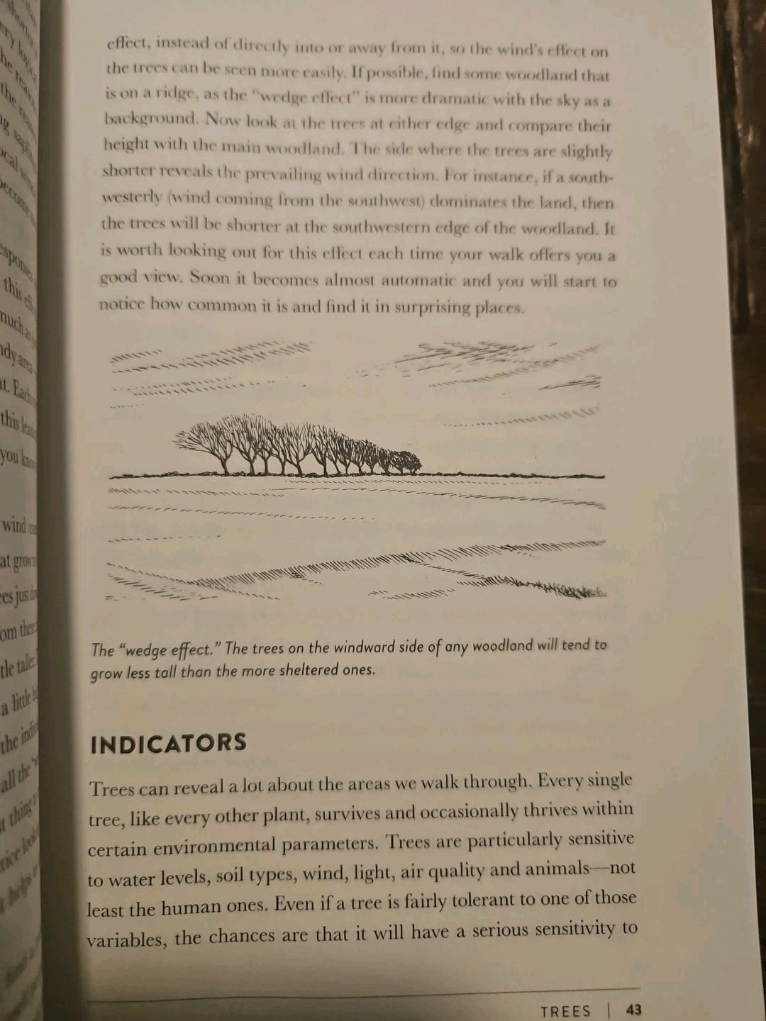 The Lost Art of Reading Nature’s Signs: Use Outdoor Clues to Find Your Way…
