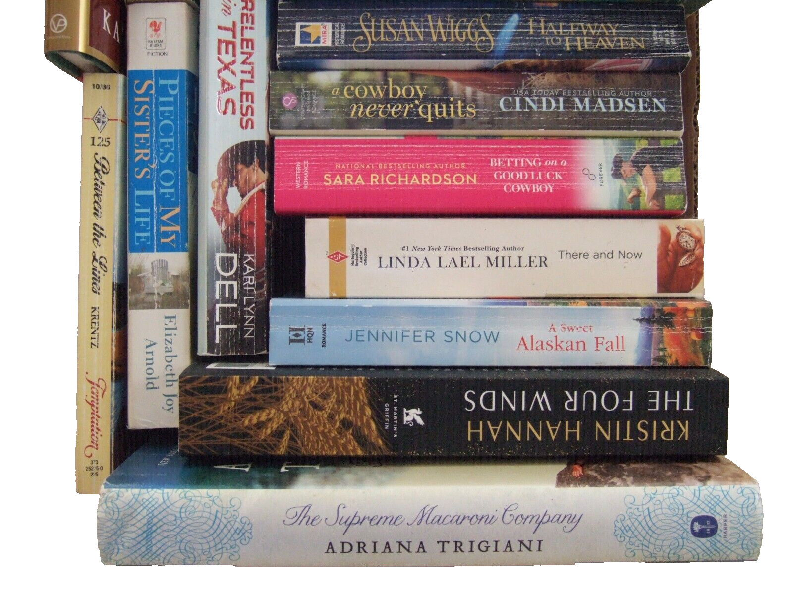 22 NOVELS BY THE TOP WOMEN ROMANCE FAMILY WRITERS for 1 Low Price + Free Ship