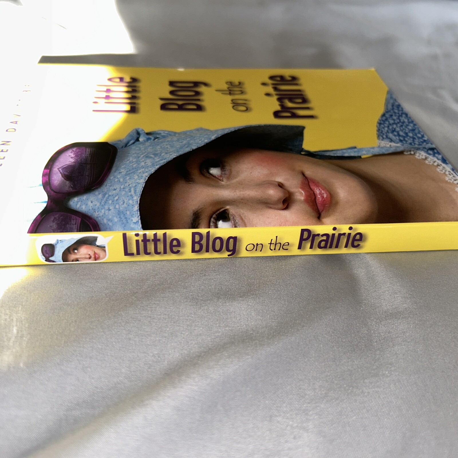 Little Blog on the Prairie – Paperback By Bell, Cathleen Davitt – NEW Cengage