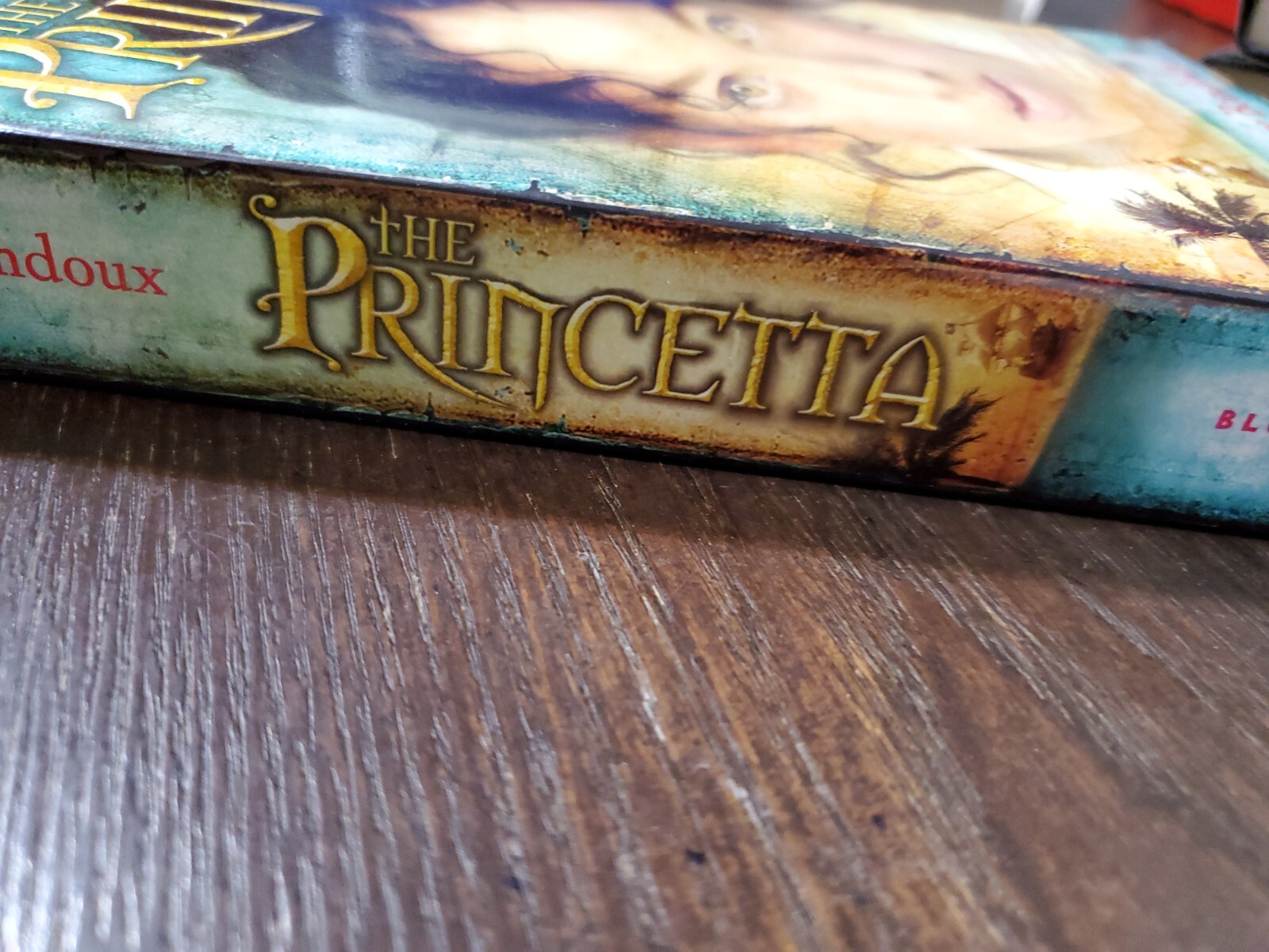 The Princetta by Anne-Laure Bondoux (2008, Paperback, Bloomsbury)