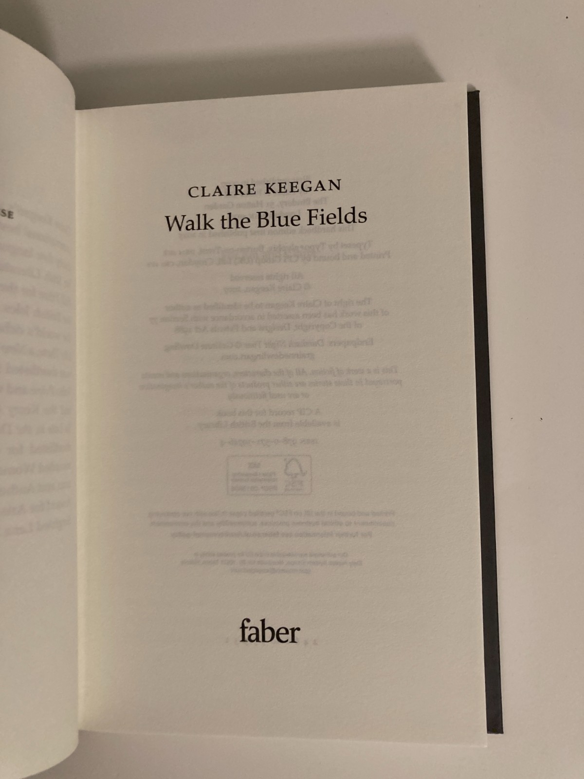 Walk The Blue Fields by Claire Keegan (2025, Hardcover) 1st UK Printing Like New
