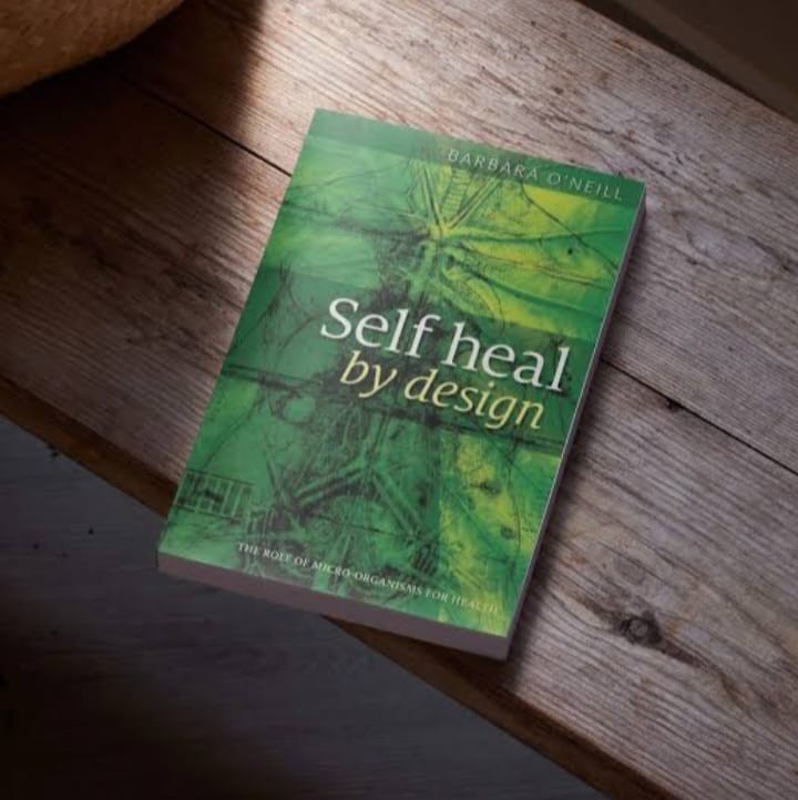 Self Heal By Design Book By Barbara O’Neill USA Stock Free Shipping