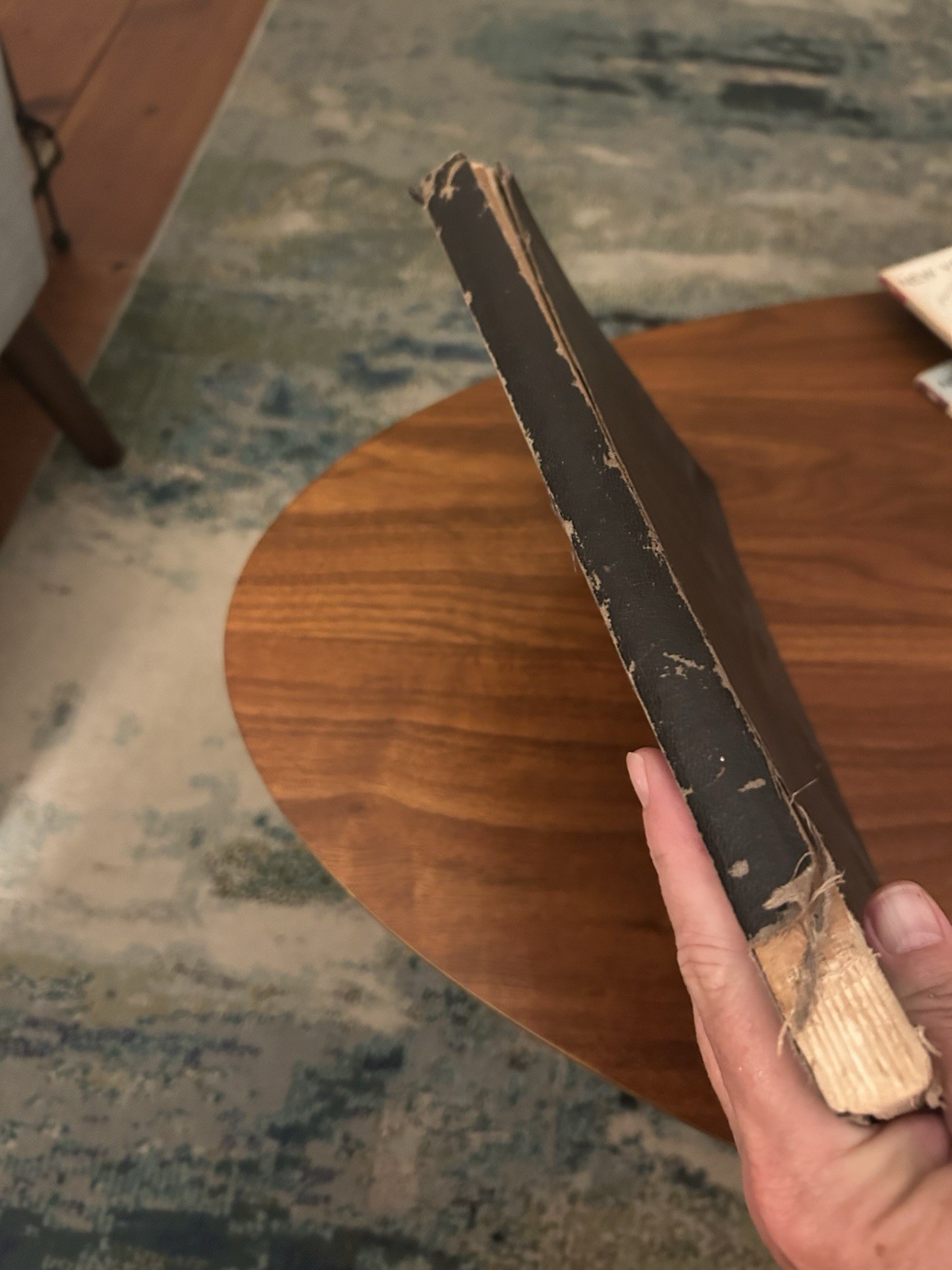 1924 Beautiful America Our National Parks Hard Cover Book 160 Pages First Ed.